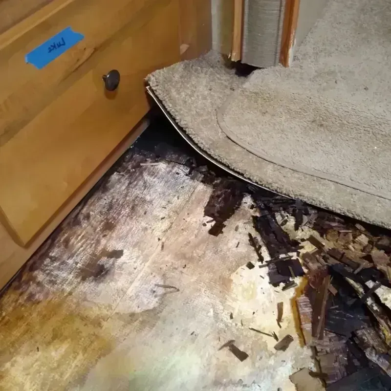 Wood Floor Water Damage in Springfield, FL